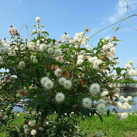 五结幸福蜗牛住宿加早餐旅馆 外观 照片